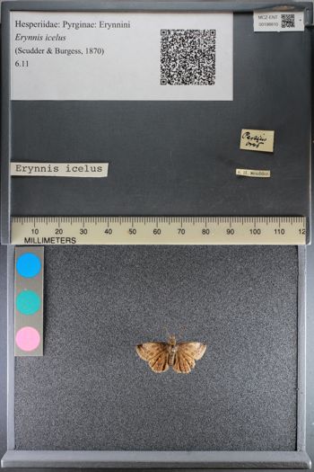 Media type: image;   Entomology 198810